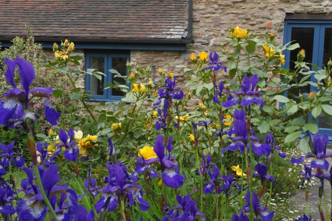 Bed and Breakfast Prospect Barn Hereford Exterior foto
